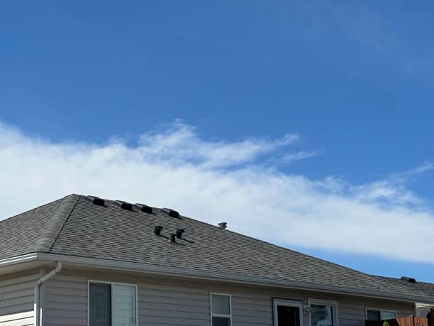 Best Cold Roofs  in Willmar, MN